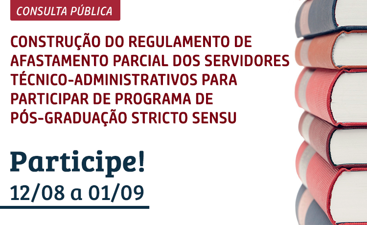 Consulta Pública