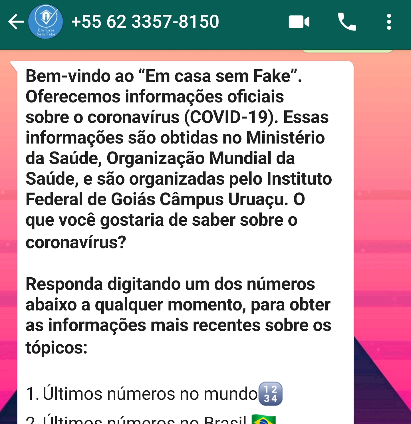 Em casa sem Fake,chatbot.