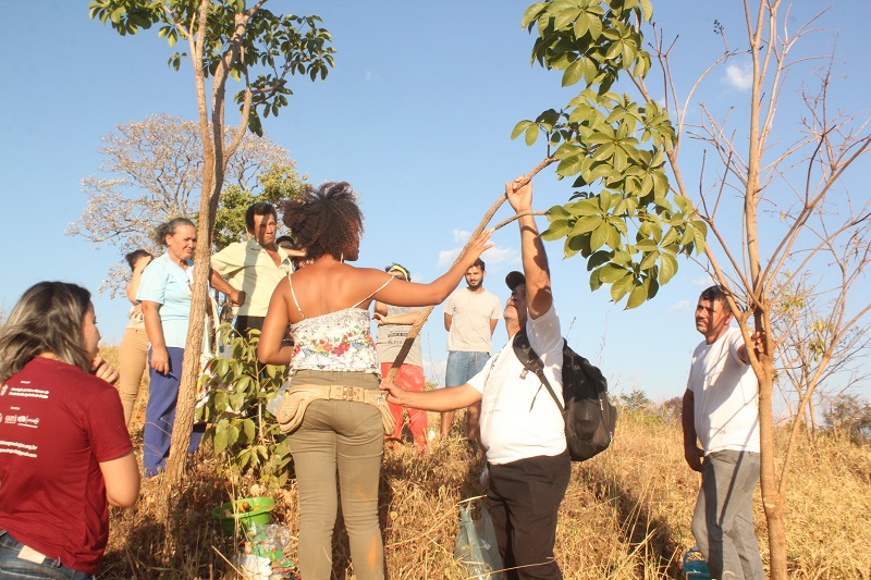 Aula de campo com a professora de agroecologia, Viviane Evangelista